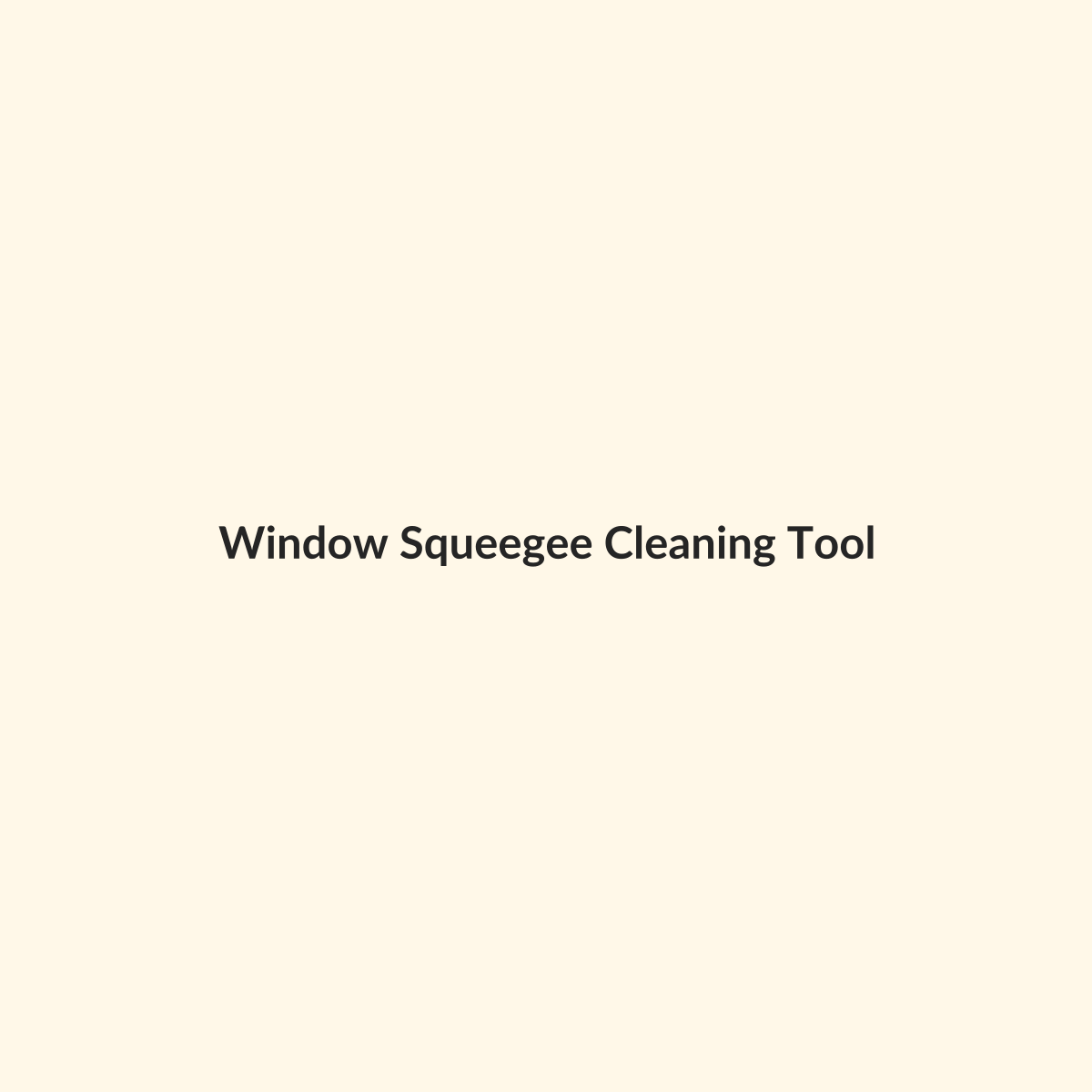 Window Squeegee Cleaning Tool preview product for Bold Hive