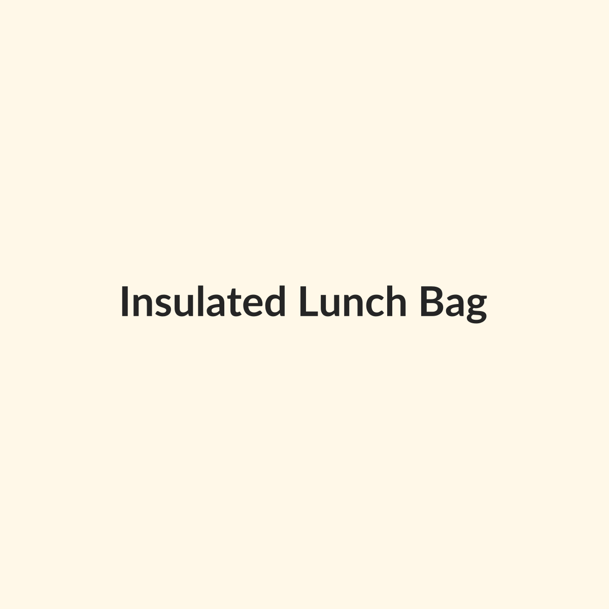 Insulated Lunch Bag preview product for Bold Hive